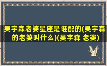 吴宇森老婆星座是谁配的(吴宇森的老婆叫什么)(吴宇森 老婆)